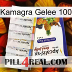 Kamagra Jelly 100 11